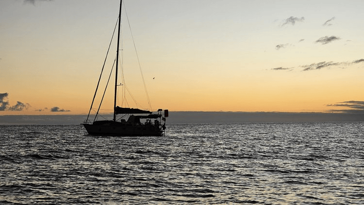 Day Sail Hands-on Sailing Experience | Bedarr Boatique Port Klang - Image 5